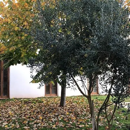 Casa Da Varzea - Atelier Проживание в семье Синтра
